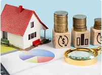 Property & Asset Division