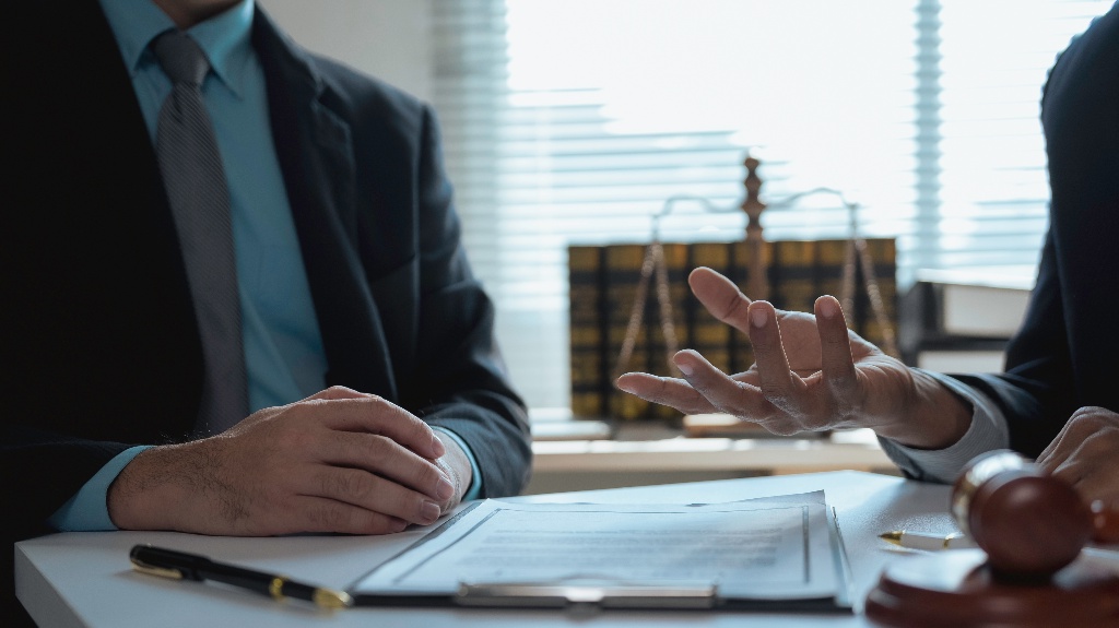 Lawyer is consulting client